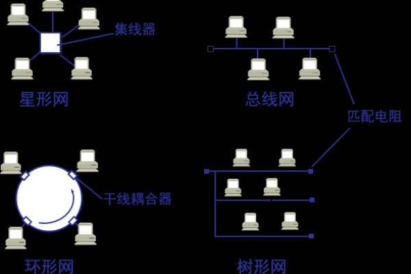 网络拓扑究竟描述了哪种网络的物理或逻辑结构？