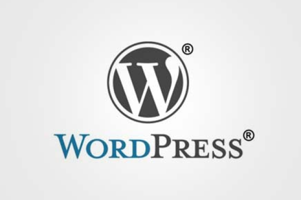 如何从WordPress网站中彻底移除WP Logo和文本？