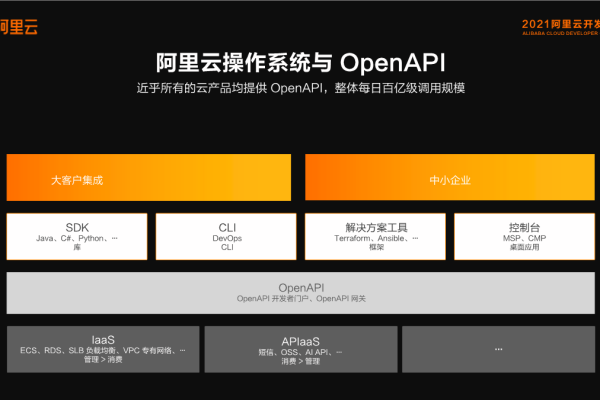 阿里云OpenAPI这个问题怎么解决？