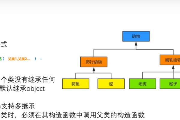 python多态_Python