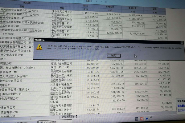 项目报表报错了