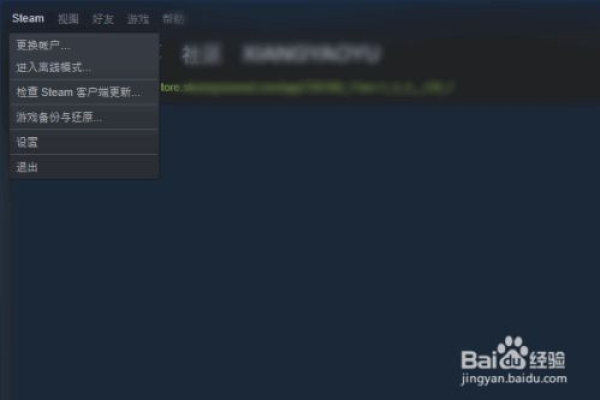 steam下的游戏报错