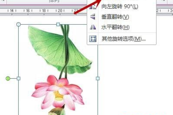 word图片如何旋转？