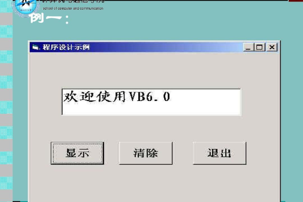 vb程序设计是什么