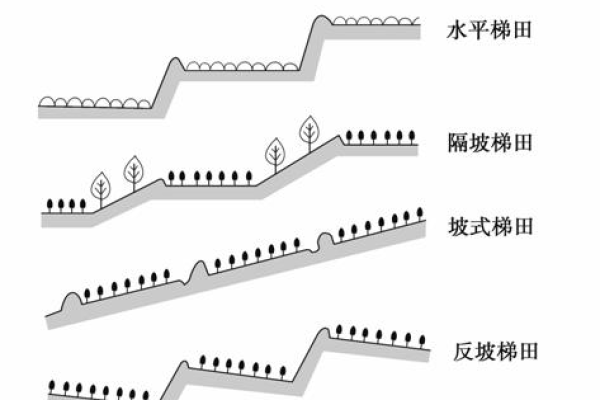 田是什么结构  第1张