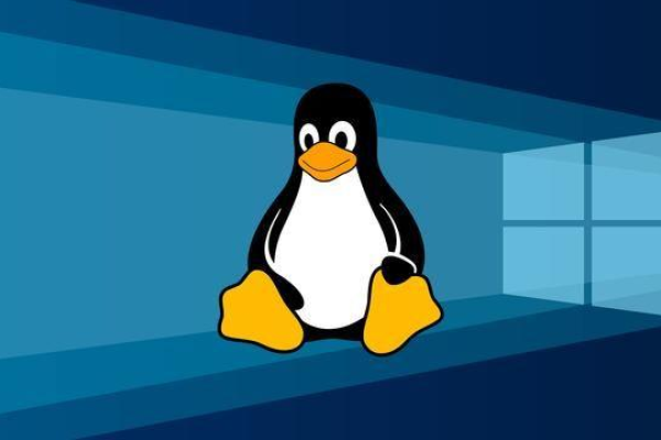 linux中的pm什么意思_linux中的pm是指什么