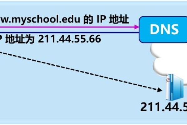 怎么查看网络dns服务器  第1张