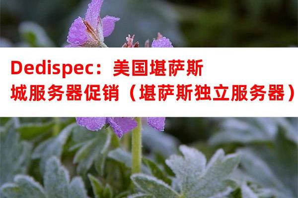 Dedispec：美国便宜服务器（美国低价服务器）