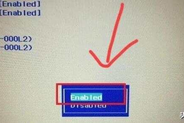 BIOS设置中的disabled和enabled分别代表什么含义？  第1张