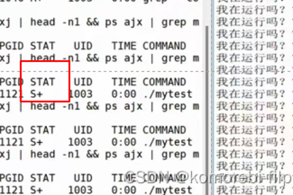 linux查看进程状态的命令是什么