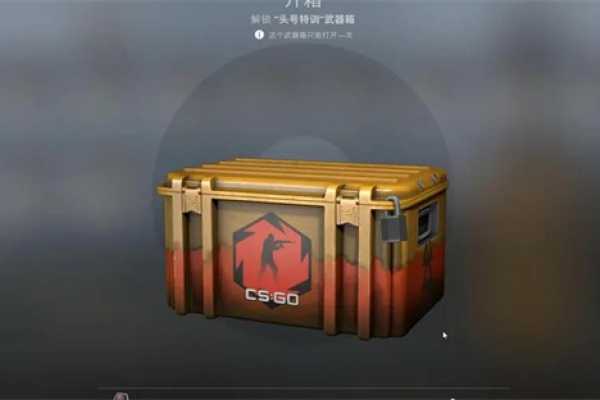 csgo怎么拿箱子  第1张