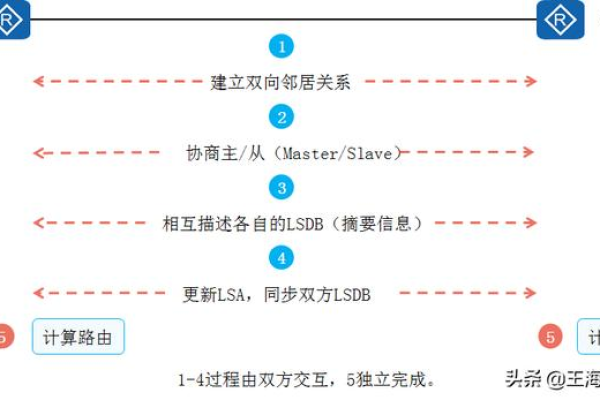 简述动态路由协议ospf的工作原理（运行ospf动态路由协议的路由器直接依靠）