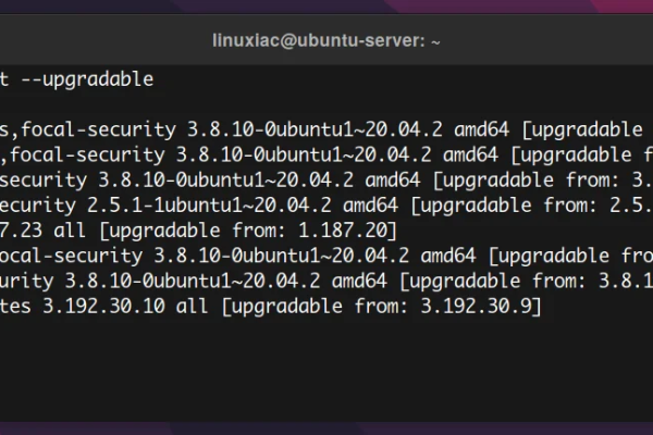 Ubuntu Linux系统下apt-get命令详解