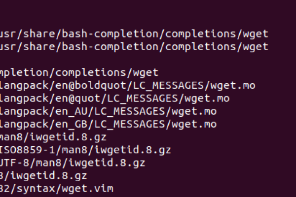 bash: wget: command not found