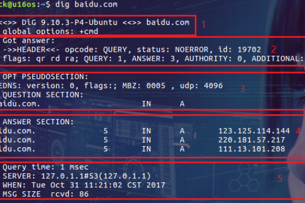 Linux 系统下使用 dig 命令查询域名解析  第1张