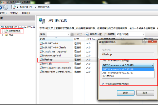 用IIS建立的.net网站通过IP地址不能访问解决方法  第1张