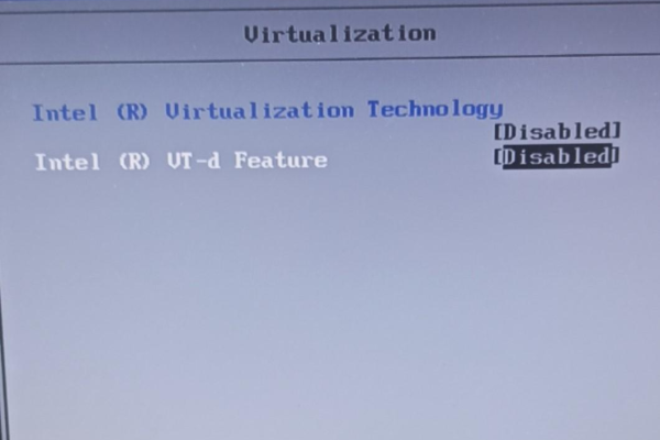 如何在BIOS中开启虚拟化技术