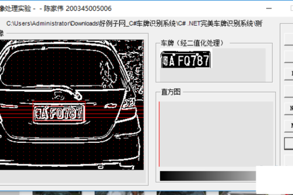 车牌照识别 c语言_C#语言