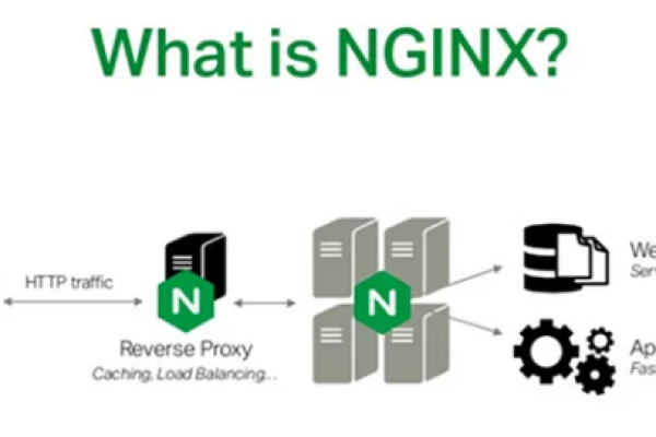 nginx如何部署web项目