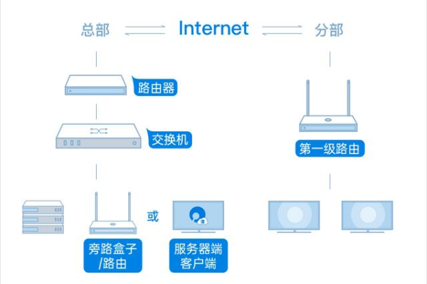 如何在网络服务器中进行专业设置？