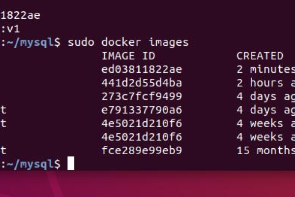 查看docker容器ip_使用Docker run运行容器