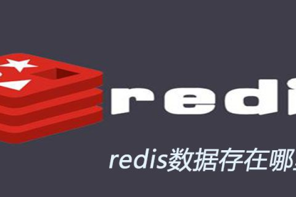 Redis的数据存储位置怎么查看