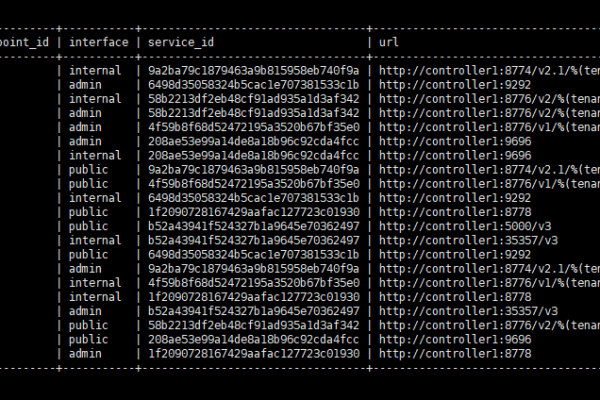 查询openstack版本_查询API版本信息（OpenStack原生