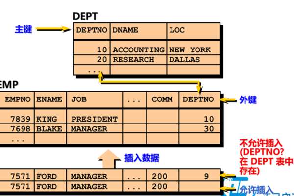 oracle中decimal类型怎么赋值