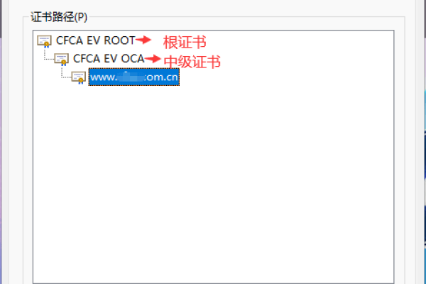 cfca数字证书_各类型SSL证书之间的区别  第1张