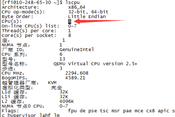 查看linux服务器内存_查看系统内存