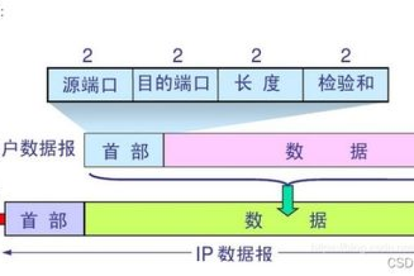 tcp和udp的共同点和区别