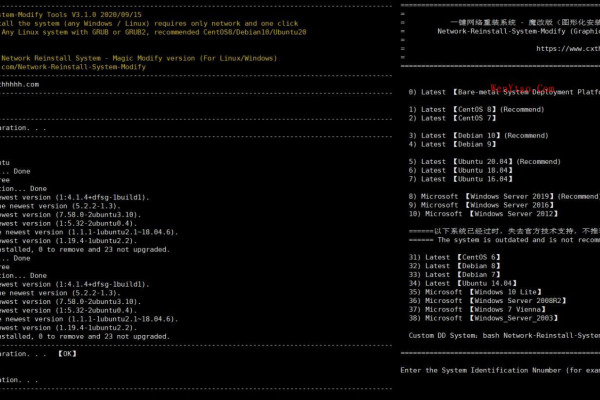 CXTHHHHH一键网络重装系统魔改版3.1.0_适用于通过Internet网络安装纯净版Linux及Windows系统