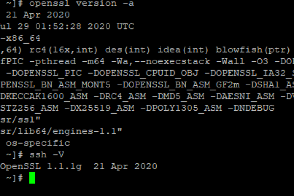 部署https后访问提存在安全隐患NET::ERR_SSL_OBSOLETE_VERSION