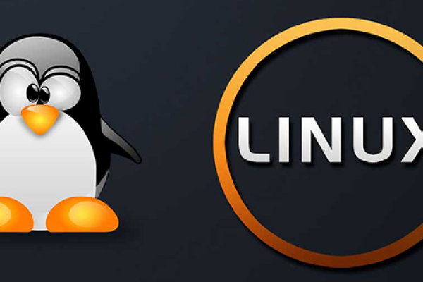 从linux权限不够 _权限不够