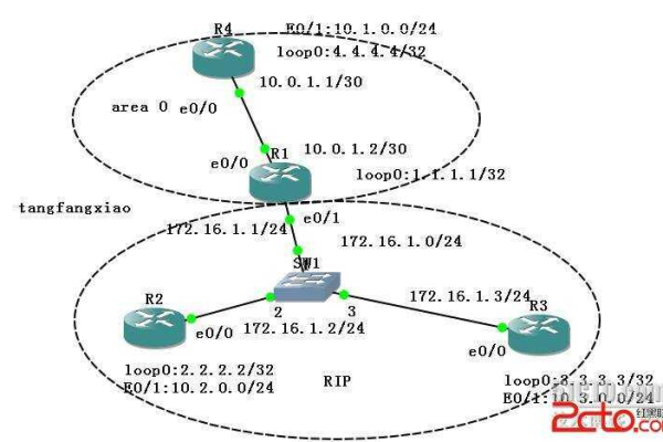 ospf协议洪泛转发链路状态信息的范围是( )