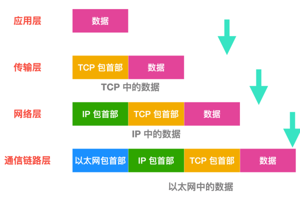 Tcp是什么意思（Tcp是什么）