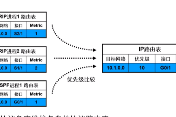 常见路由协议有哪几类