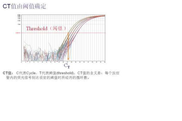 扫描c段为什么  第1张