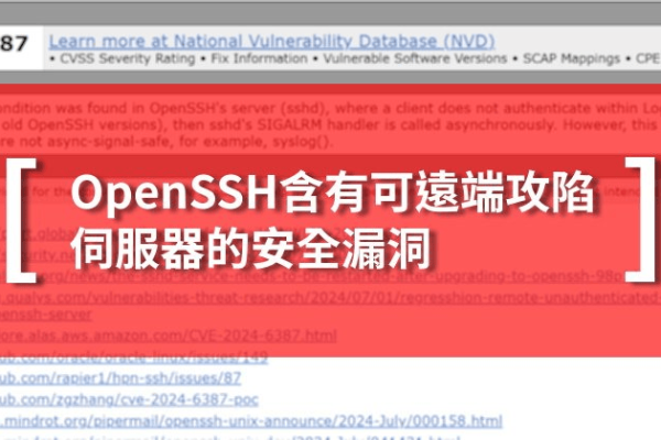 openssh为什么总有破绽