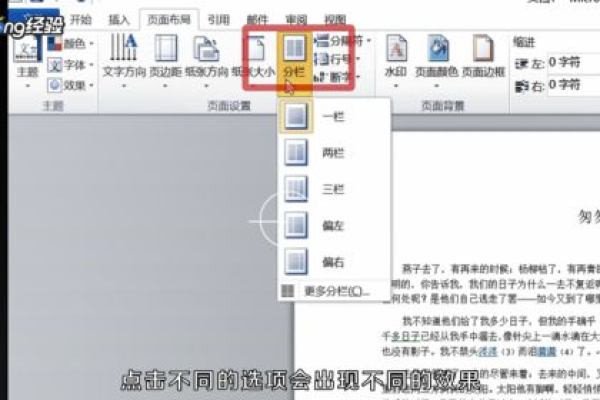 为什么没法选择分栏  第1张