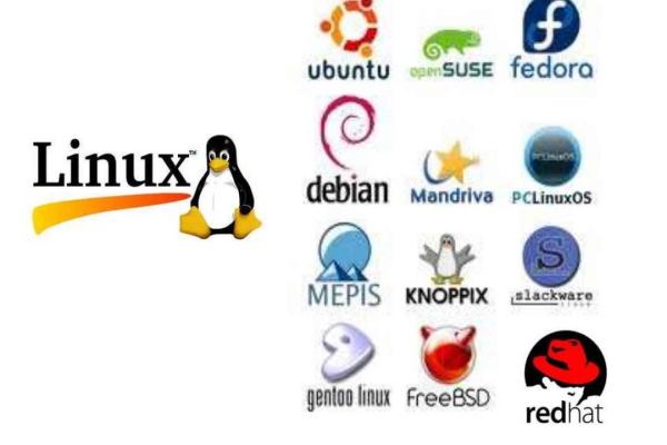 debian系统和linux的区别是什么