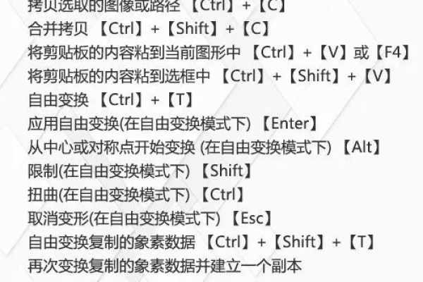 ps复制快捷键  第1张