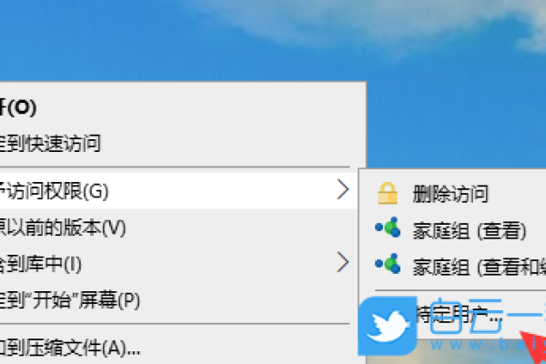 如何在Windows 10局域网中配置特定用户权限以访问共享文件夹？