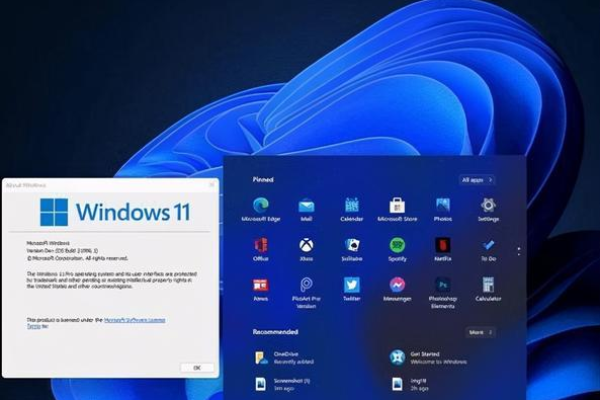 微软最新发布的Windows 11更新有哪些新特性？