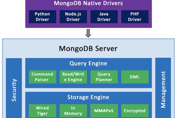 mongodb数据库的基本单元