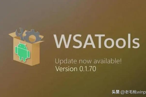 如何轻松安装并高效使用Windows 11上的安卓子系统(WSA)？