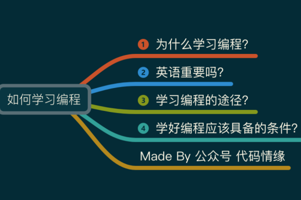 编程如何  第1张