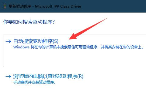 如何解决Win11图片查看器无法打印的问题？