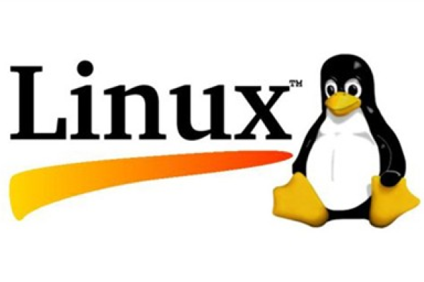 linux中的虚拟化技术有哪些类型