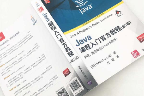 Java入门看什么书